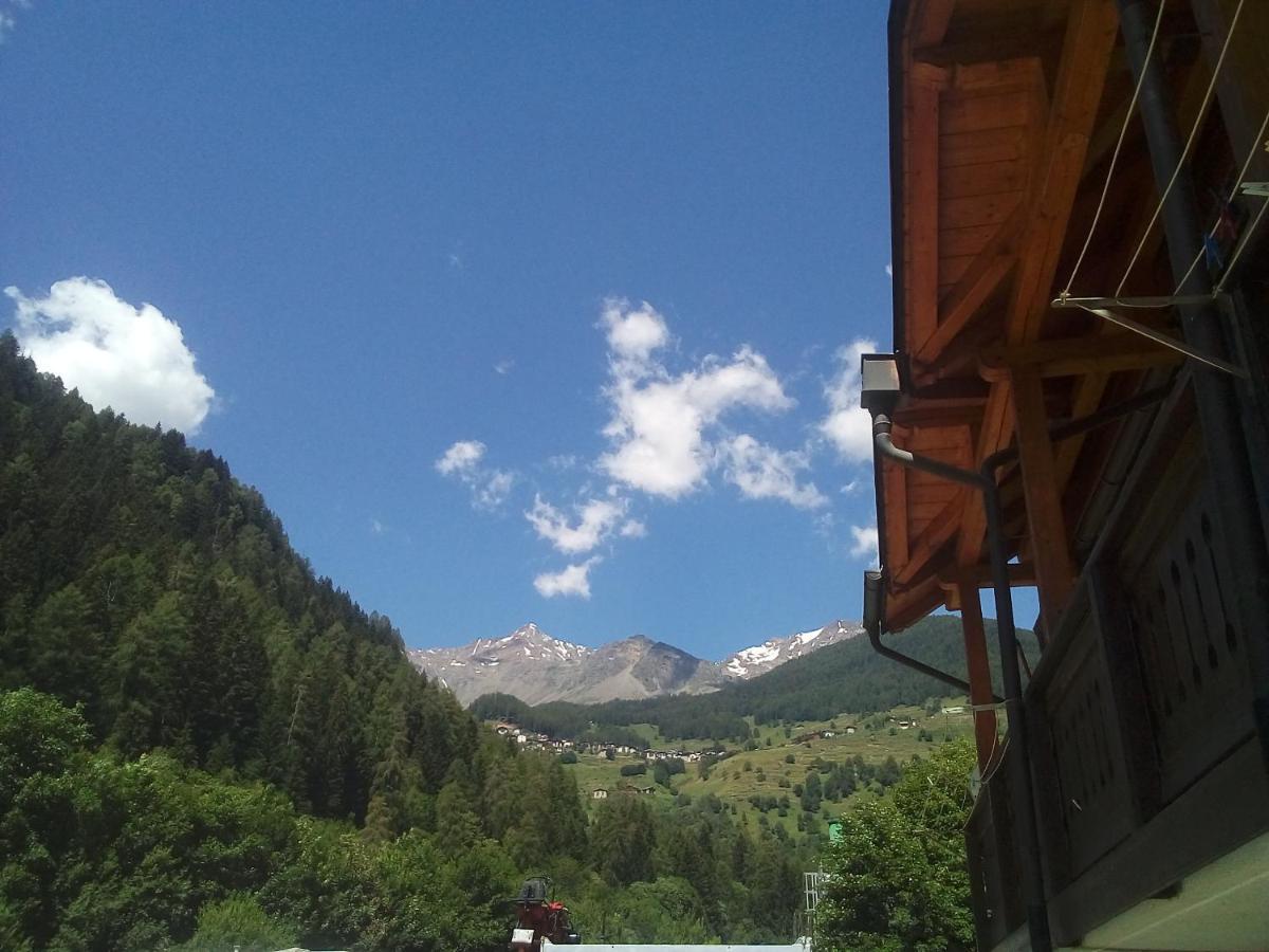 Casa Vacanze Daire Cogolo Dış mekan fotoğraf